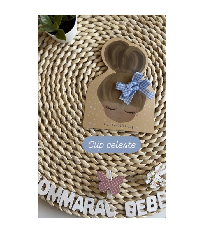 CLIPS PARA EL PELO